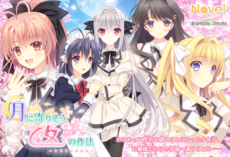 月に寄りそう乙女の作法 ～ひだまりの日々～