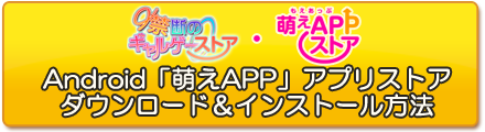 ストアインストール