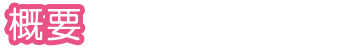 概要