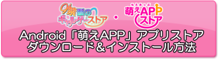 ストアインストール