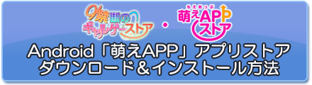 ストアインストール
