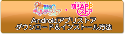 ストアインストール