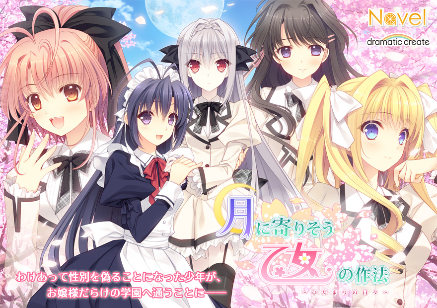 『月に寄りそう乙女の作法 ～ひだまりの日々～』特設ページ - 萌えAPP
